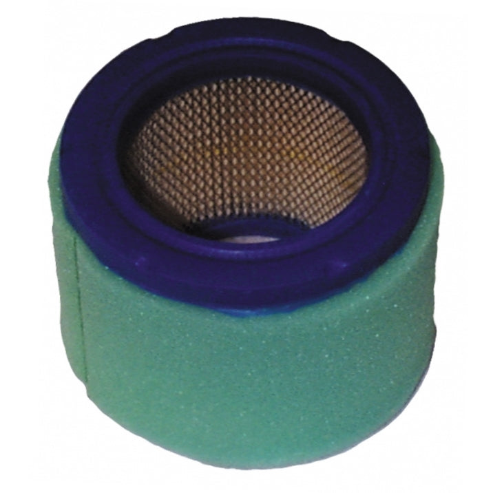 Cummins Power Generation 140-2379 Generator Air Filter