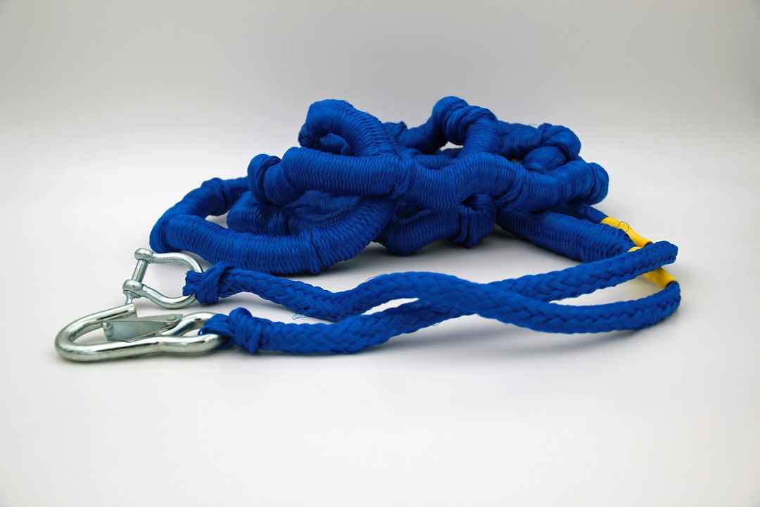 Greenfield AB4000-RB Bungee Anchor Rode - 14 ft to 50 ft
