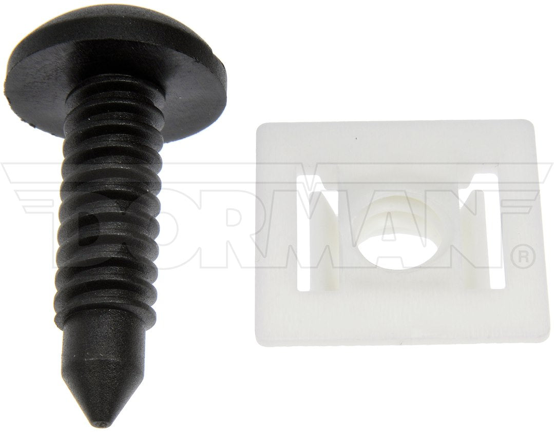 Dorman OE Solutions 961-380d License Plate Nut and Screw Pack - image 2