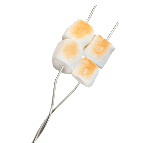 Coghlan's Campfire Roasting Fork (8975)