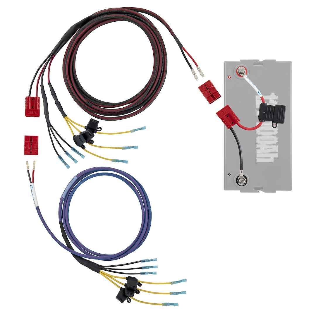Connect-Ease RCE12VGRP1618 Graph Power Rigger Harness