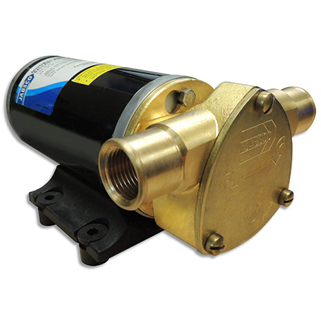 Jabsco 22610-9427 Ballast King Boat Pump