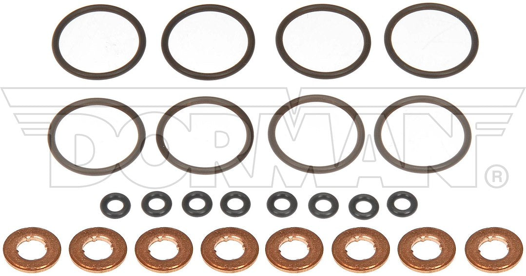 Dorman 904275 OE Viton Fuel Injector O-Rings, Set of 8 - image 1