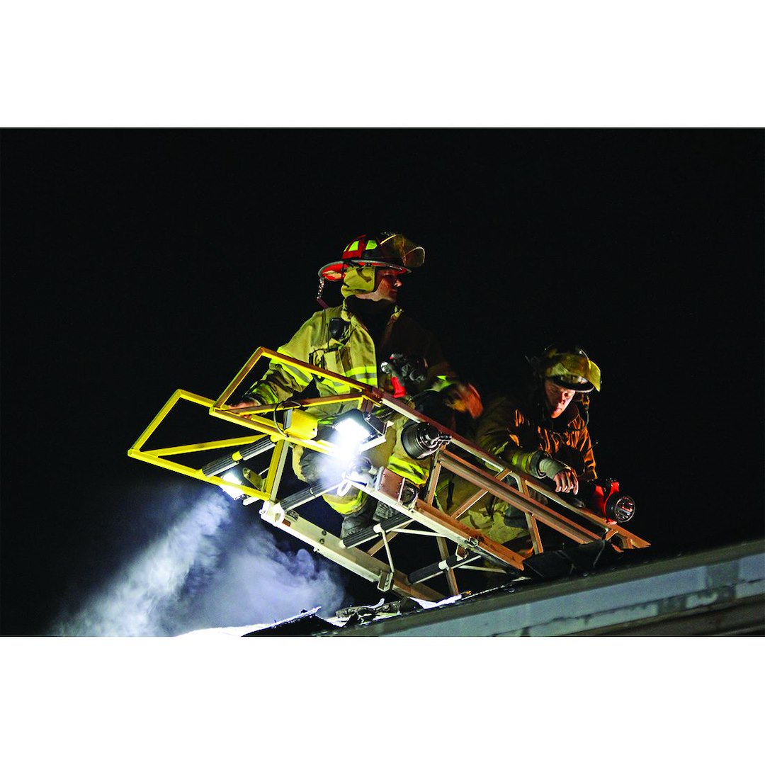 Rigid Lighting 544813 Driving/ Fog Light - image 2