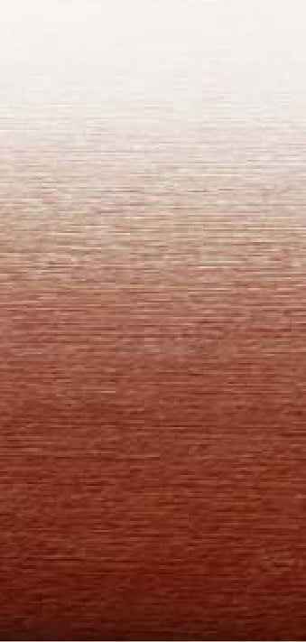 Velarium VR16005000 Electric Patio Awning - 16 ft, Burgundy Fade