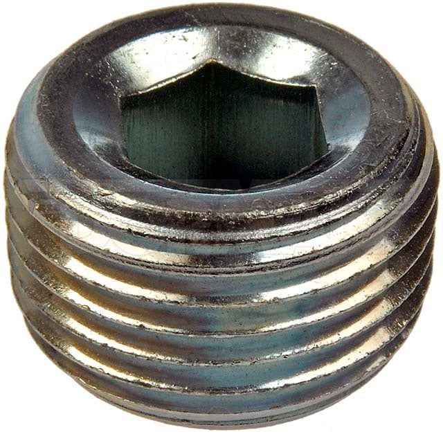 Dorman (OE Solutions) 02473 Silver Steel Plug - image 1