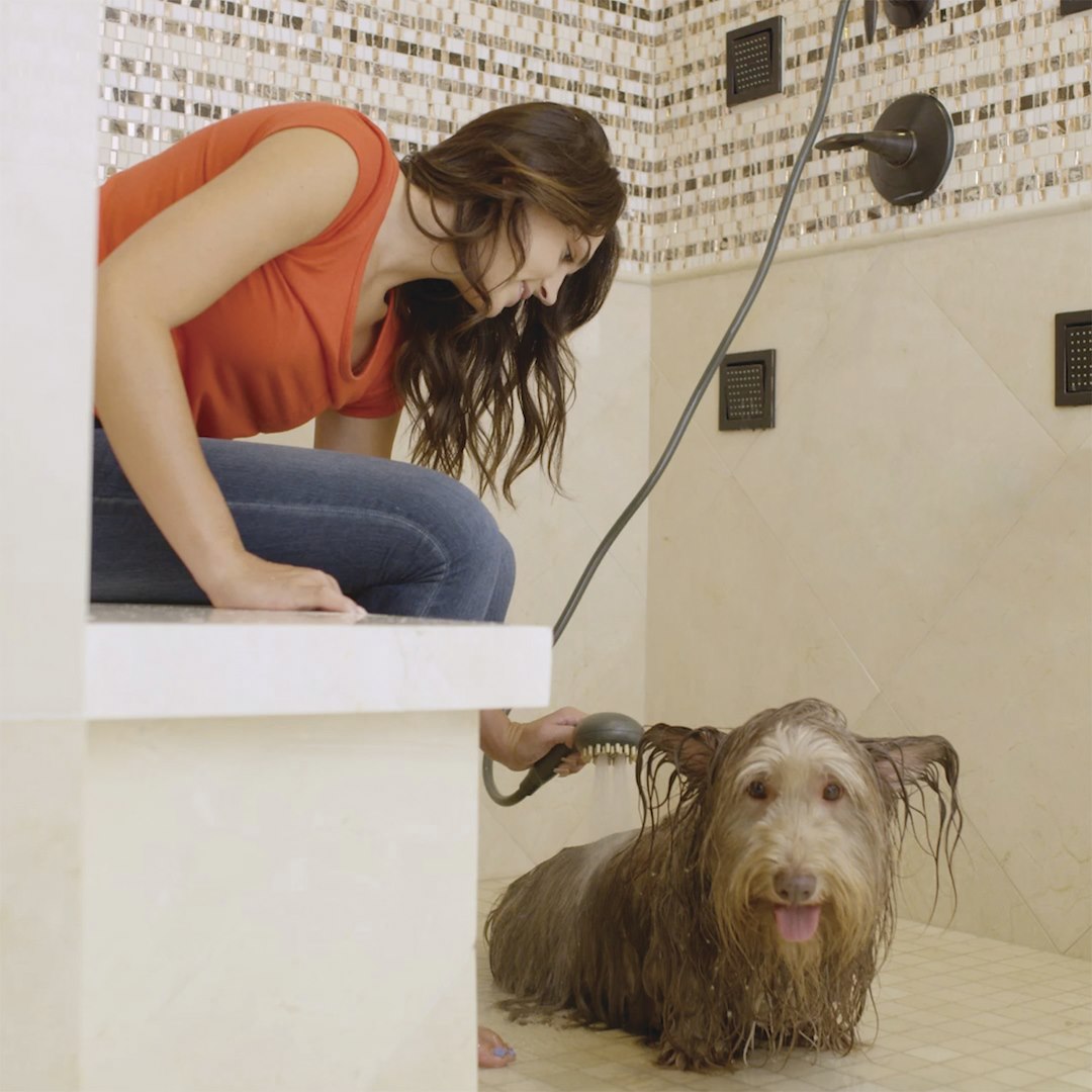 Oxygenics/ Etl 70862 Pet Washing Kit - image 7