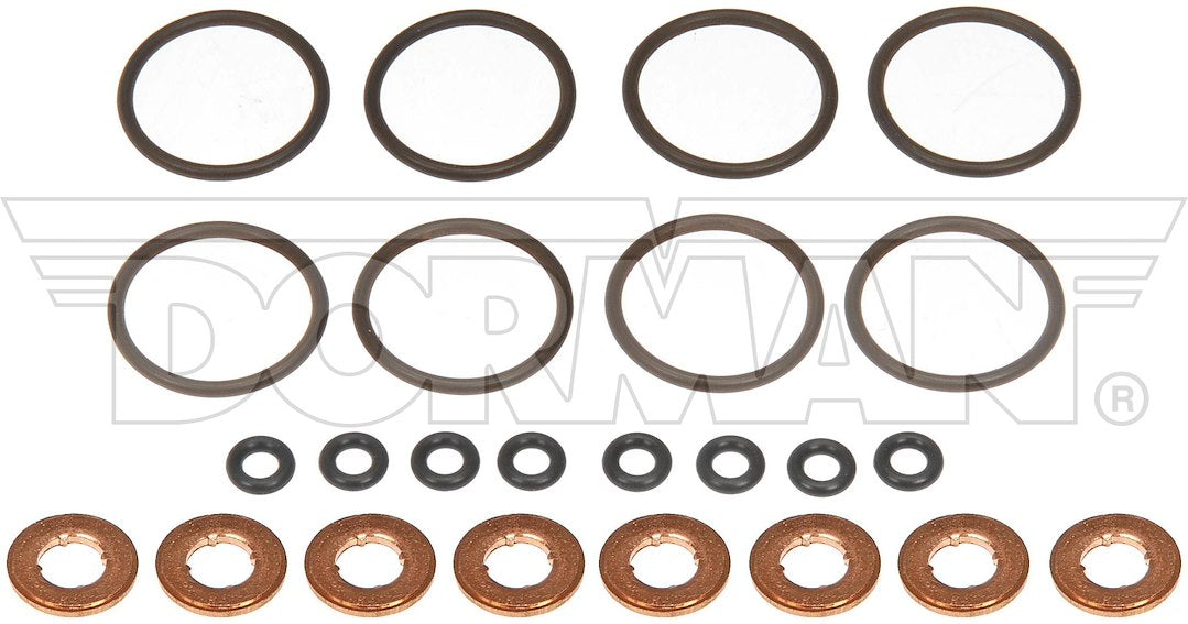 Dorman 904135 Rubber Fuel Injector O-Rings, Set of 16 - image 1