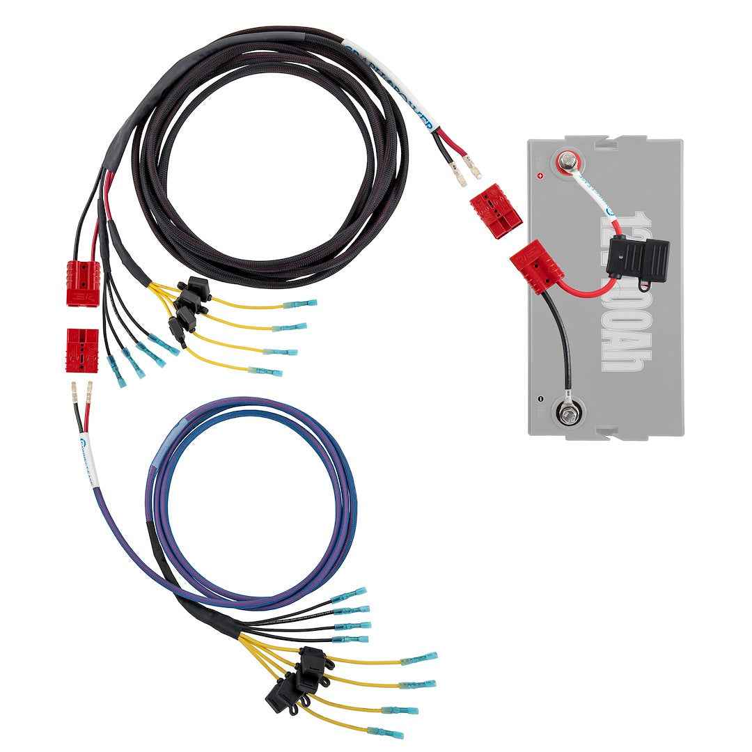 Connect-Ease RCE12VGRPRO1922 Graph Power Pro Harness