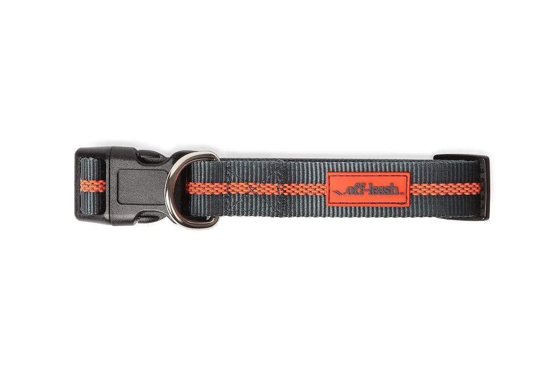 Dexas International Pwc020-432-2027 Pet Collar (Pwc0204322)