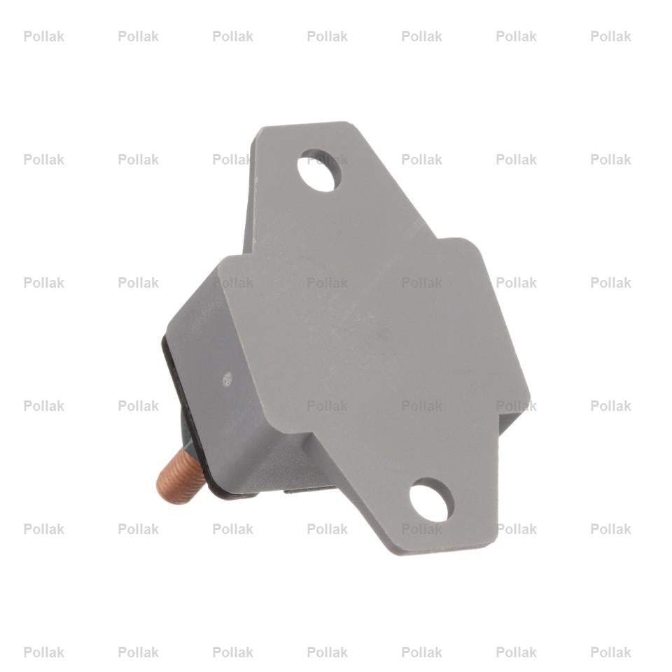 Pollak Type I 12 Volt 50 Amp Circuit Breaker (54250PL)