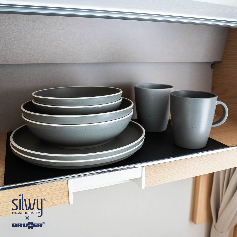 Silwy Magnetic Sybr-Kgs-11-Dg Dish Set - image 2