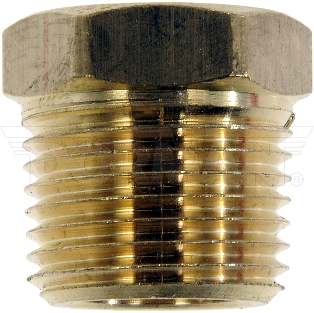 Dorman 785-440d 1/4-Inch Brass Tube Nut - image 2