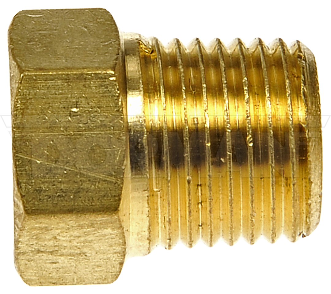 Dorman 785-420d 1/8-Inch MNPT Brass Hex Pipe Plug - image 2