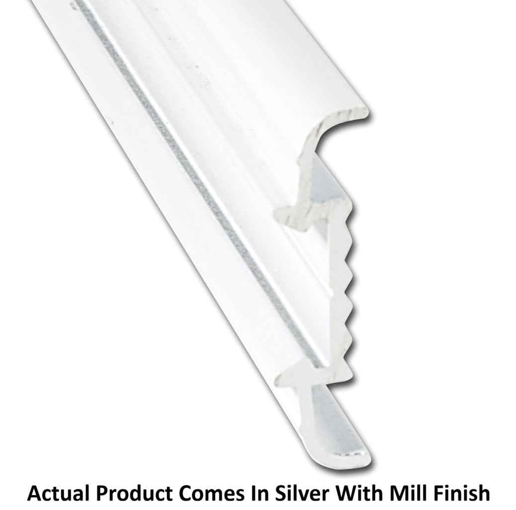 AP Products 021-56403-16 Molding Trim Insert - 16 ft, Silver