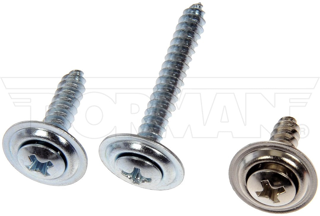 Dorman OE Solutions 961-225d Trim Screw Assortment - image 1