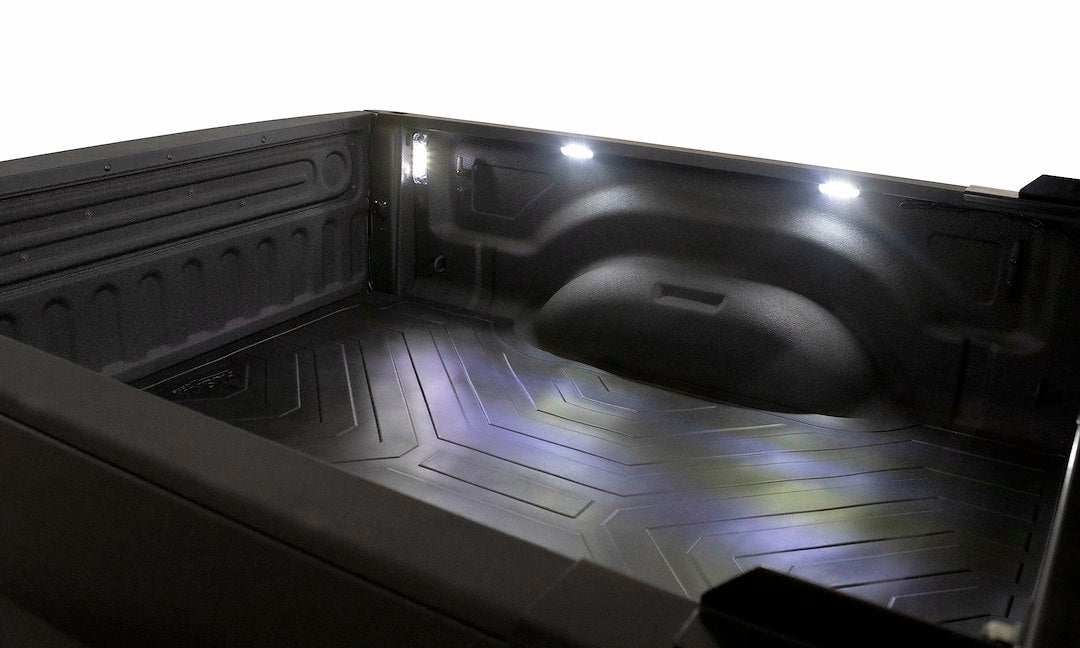Lund 54300 NightFX F-Series Puddle Lights