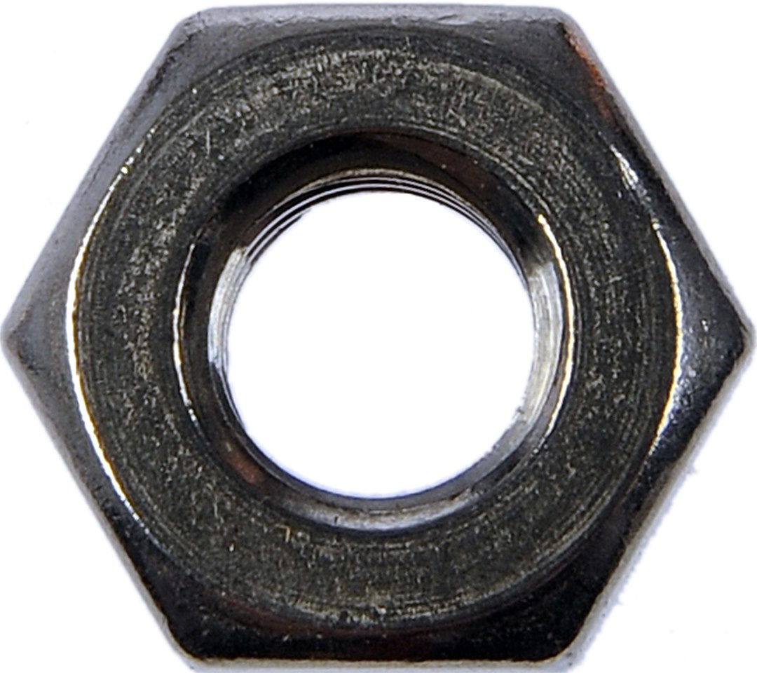 Dorman 784-320 1/4-20 Stainless Hex Nuts, Set of 9 - image 2