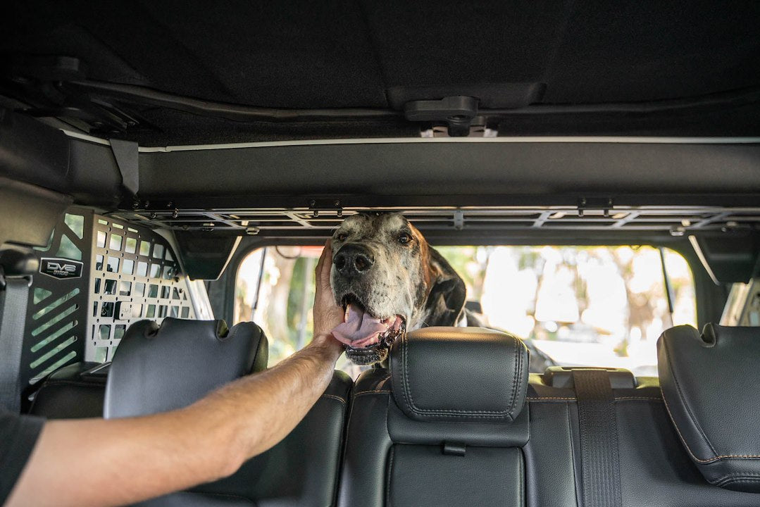 DV8 Offroad MPBR-10 Ford Bronco Dog Barrier