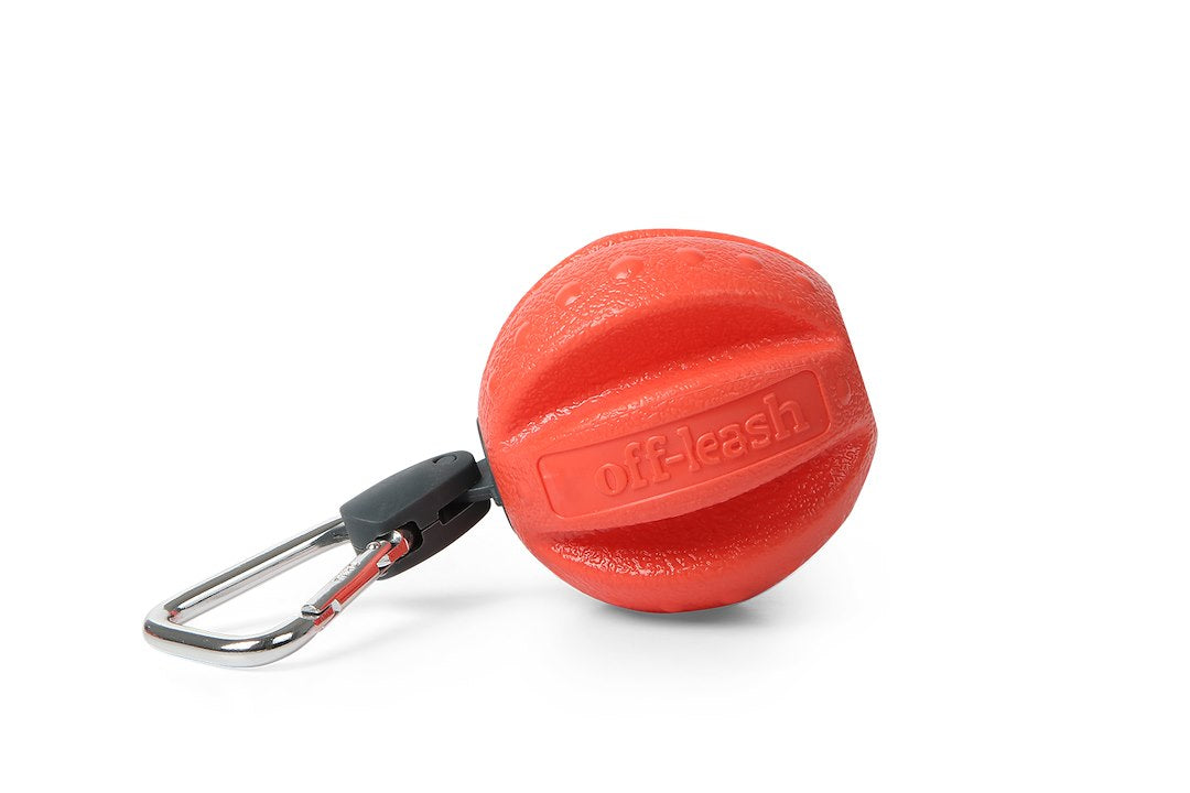 Dexas International Pet Toy (Pwt0112027)