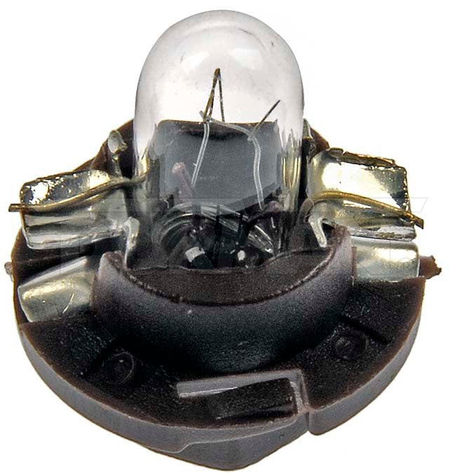 Dorman 639006 12V 1.5W Interior Bulbs, Set of 5 - image 1