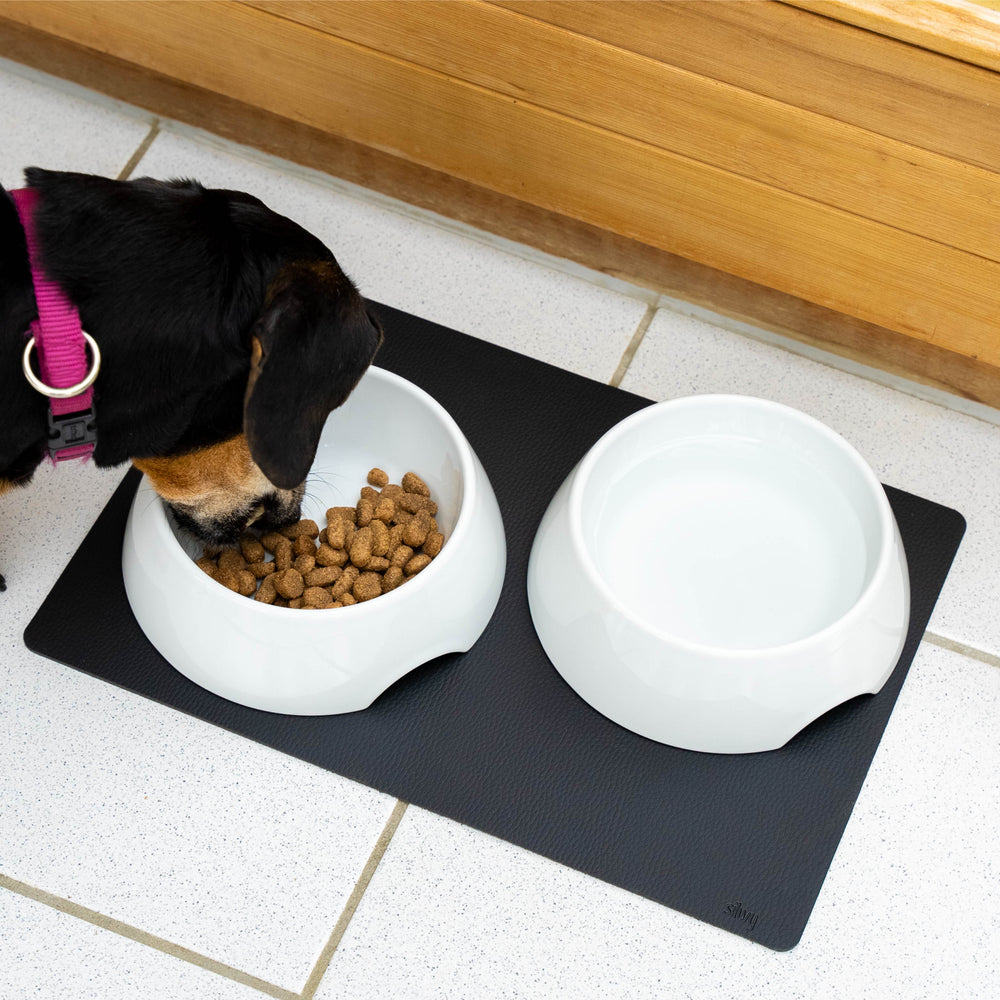 Silwy Magnetic Fn-P-3 Pet Dish - image 1