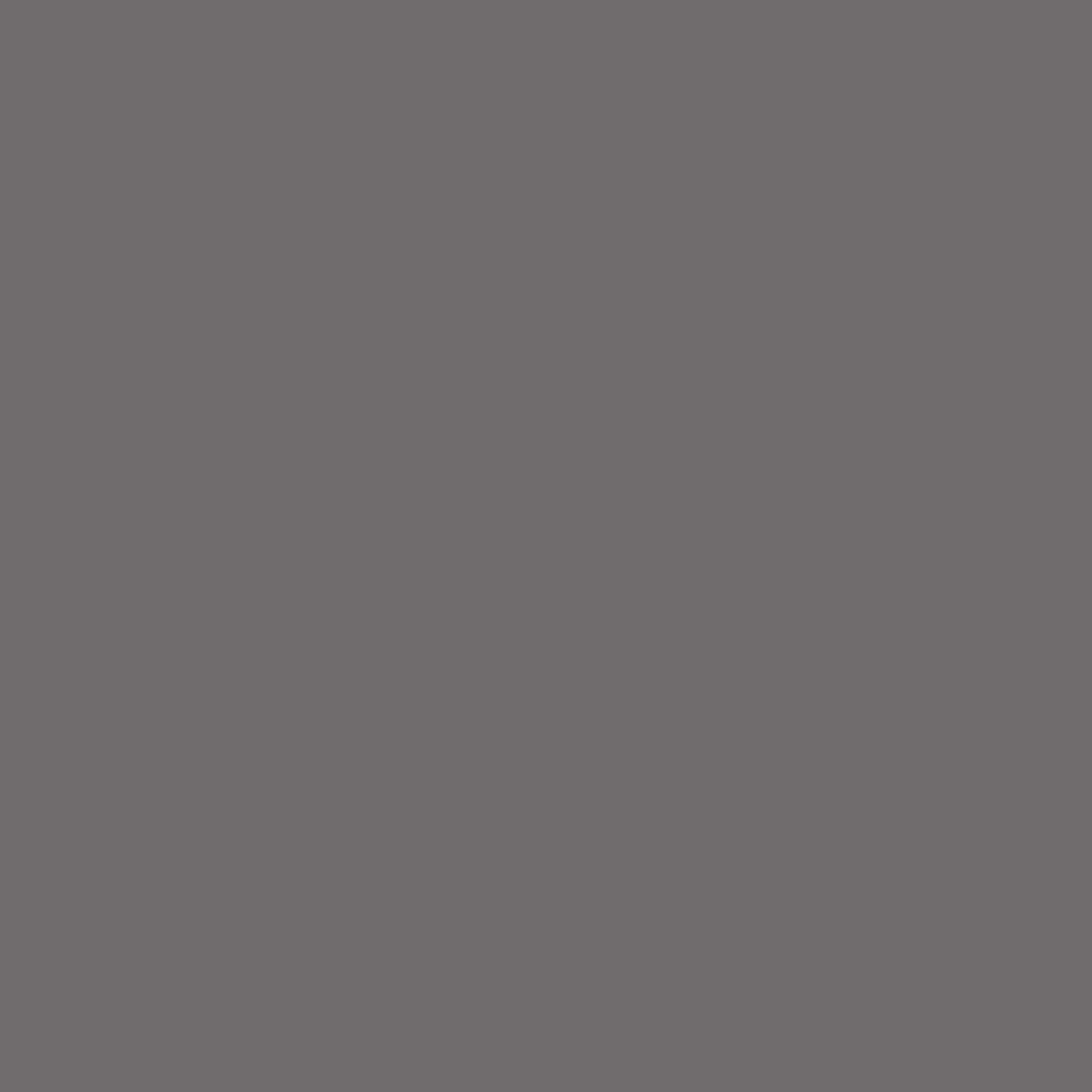 POR-15 44218 Manifold Gray High-Temperature Aerosol Paint