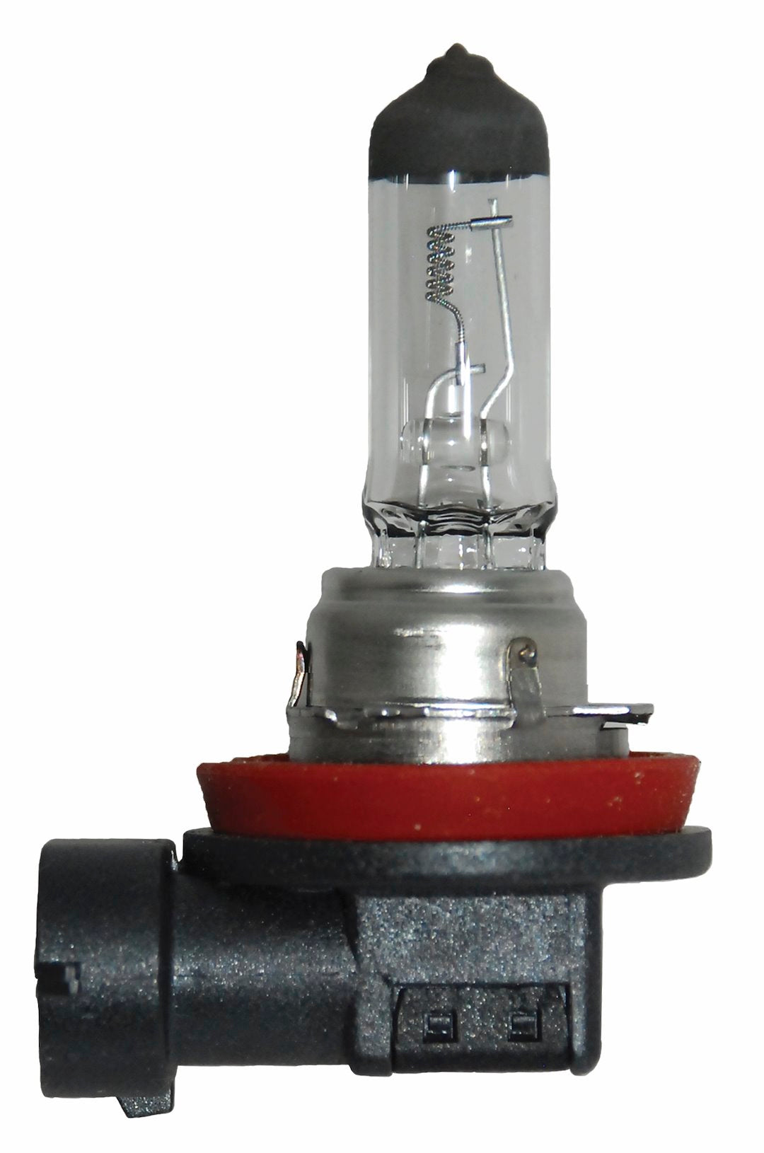 Hella H11 24V 70W Halogen Headlight Bulb