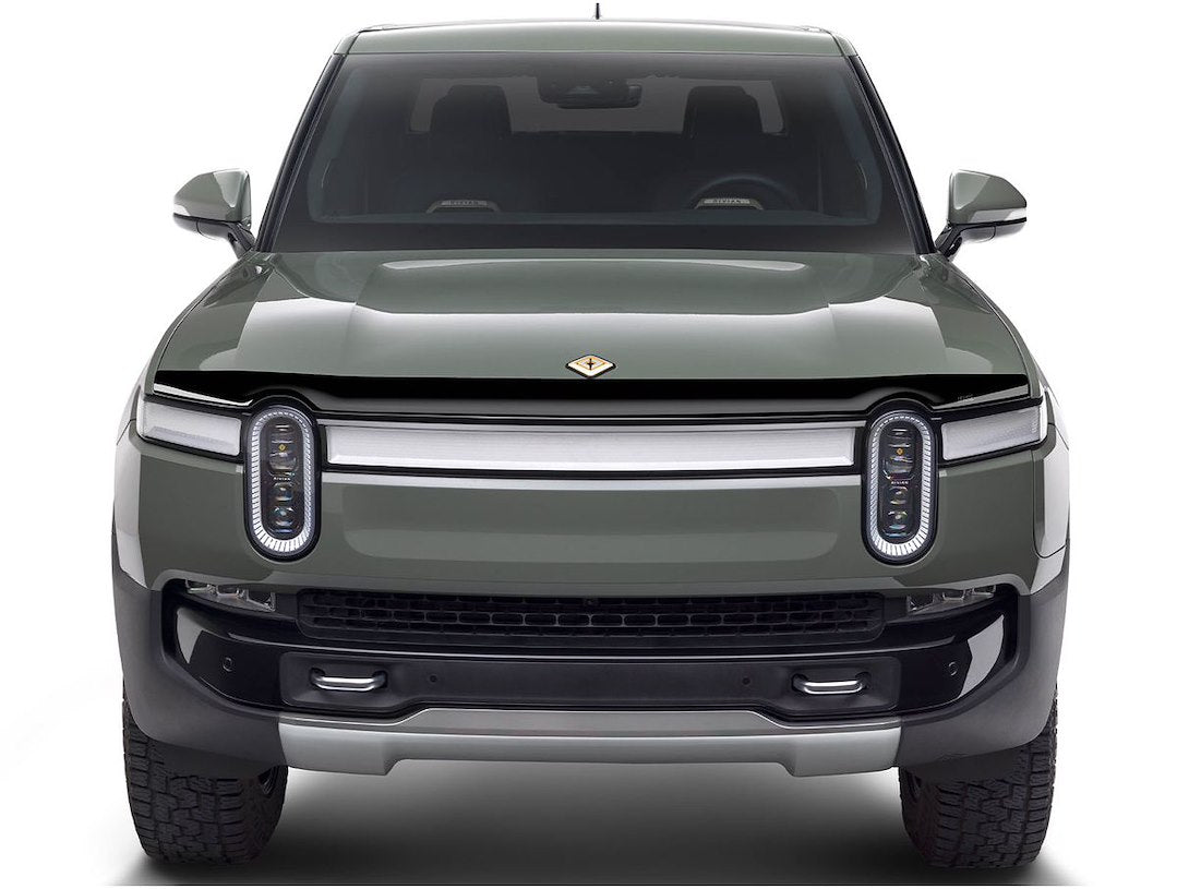 Husky 2842210 Aeroskin Smoke Bug Shield