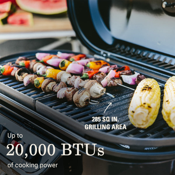 Coleman Company 2000033052 Barbeque Grill - image 2