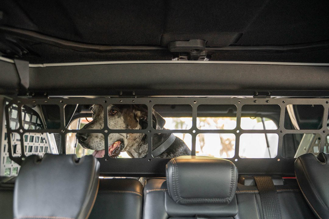 DV8 Offroad MPBR-10 Ford Bronco Dog Barrier