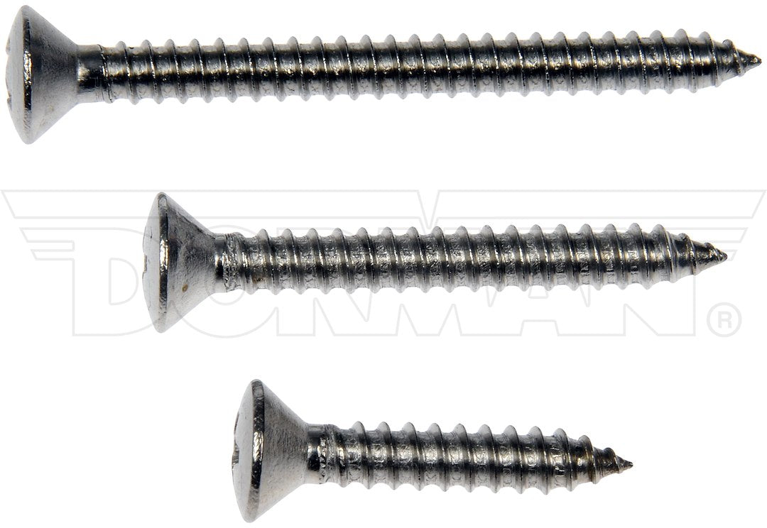 Dorman 784-145d #10 Oval-Head Screws, 12-Piece Assortment - image 2