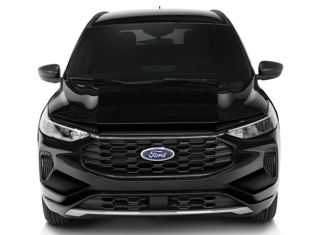 Husky 2842282 Chrome Aeroskin Hood Protector