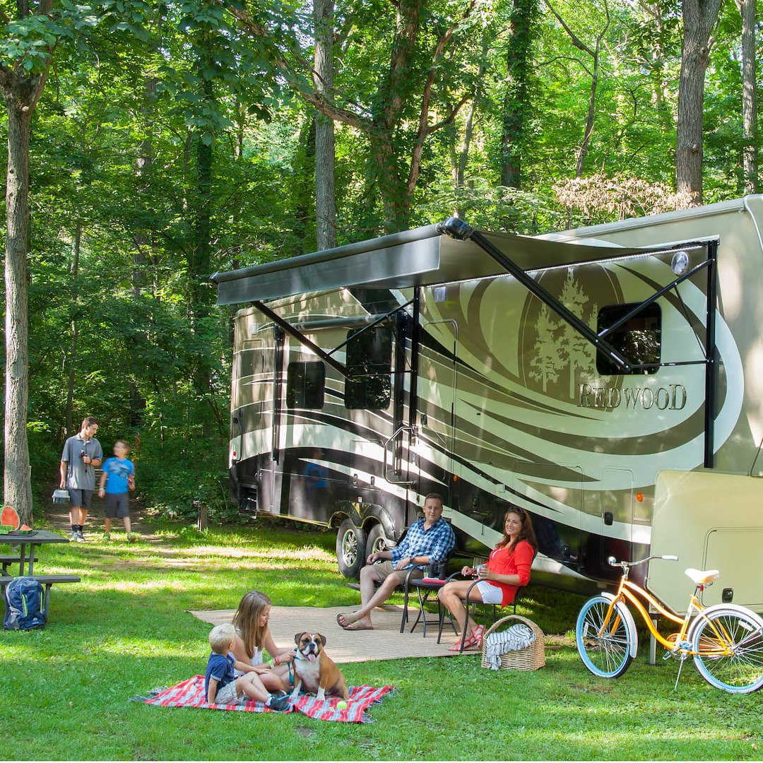 Lippert Components 285500 Awning Switch - image 5