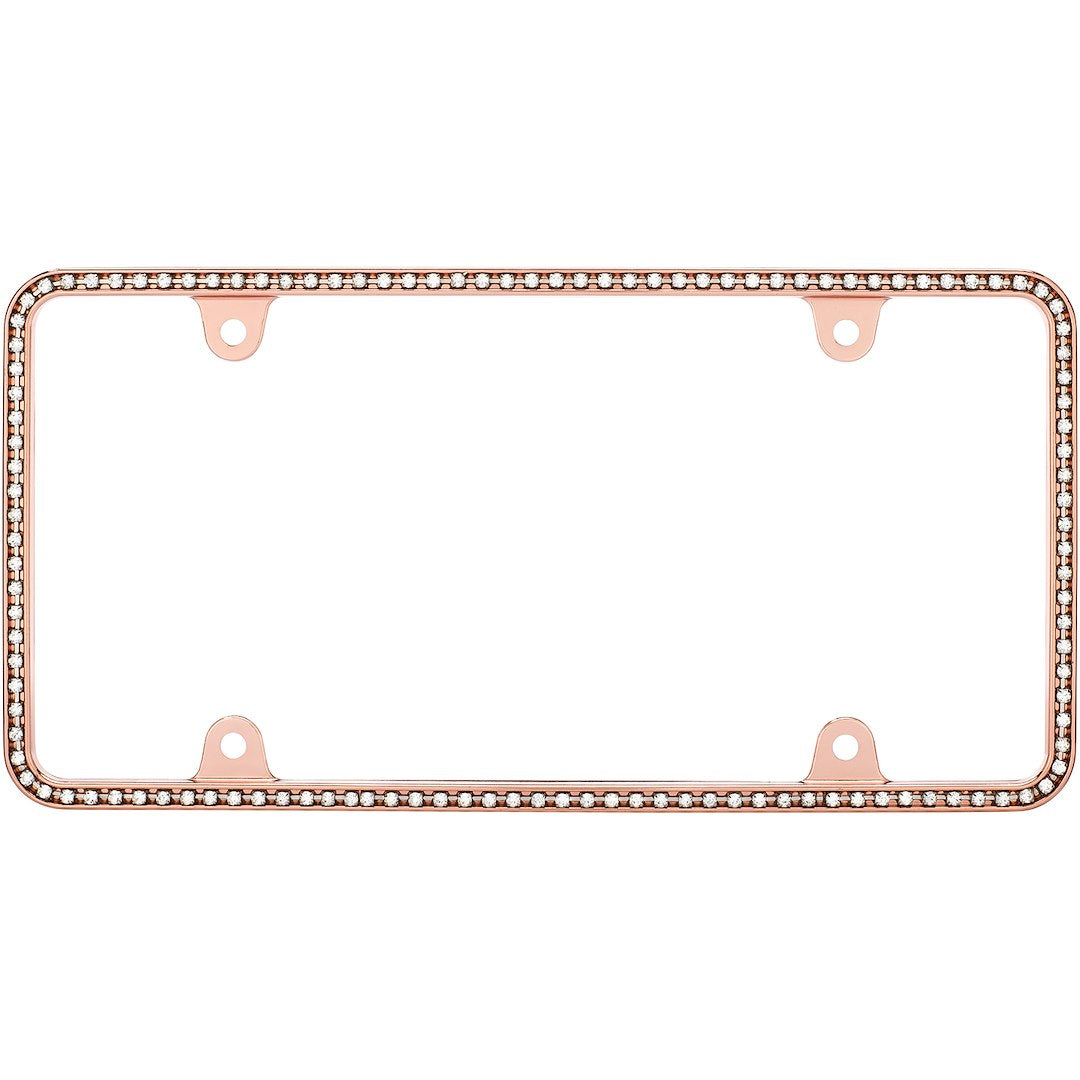 Cruiser 18000 License Plate Frame - image 1
