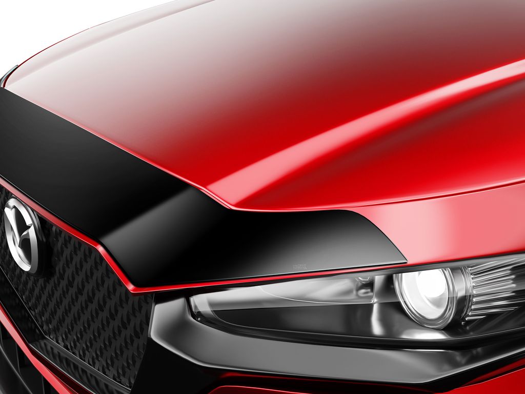 Husky 2842248 Aeroskin DuraGard Hood Shield
