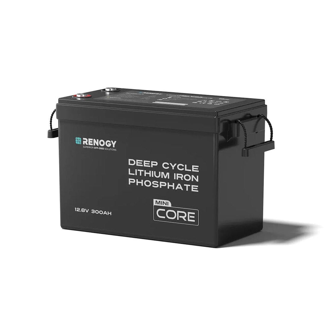 Renogy Rbt12300lfp-M-G1-Us Battery - image 1