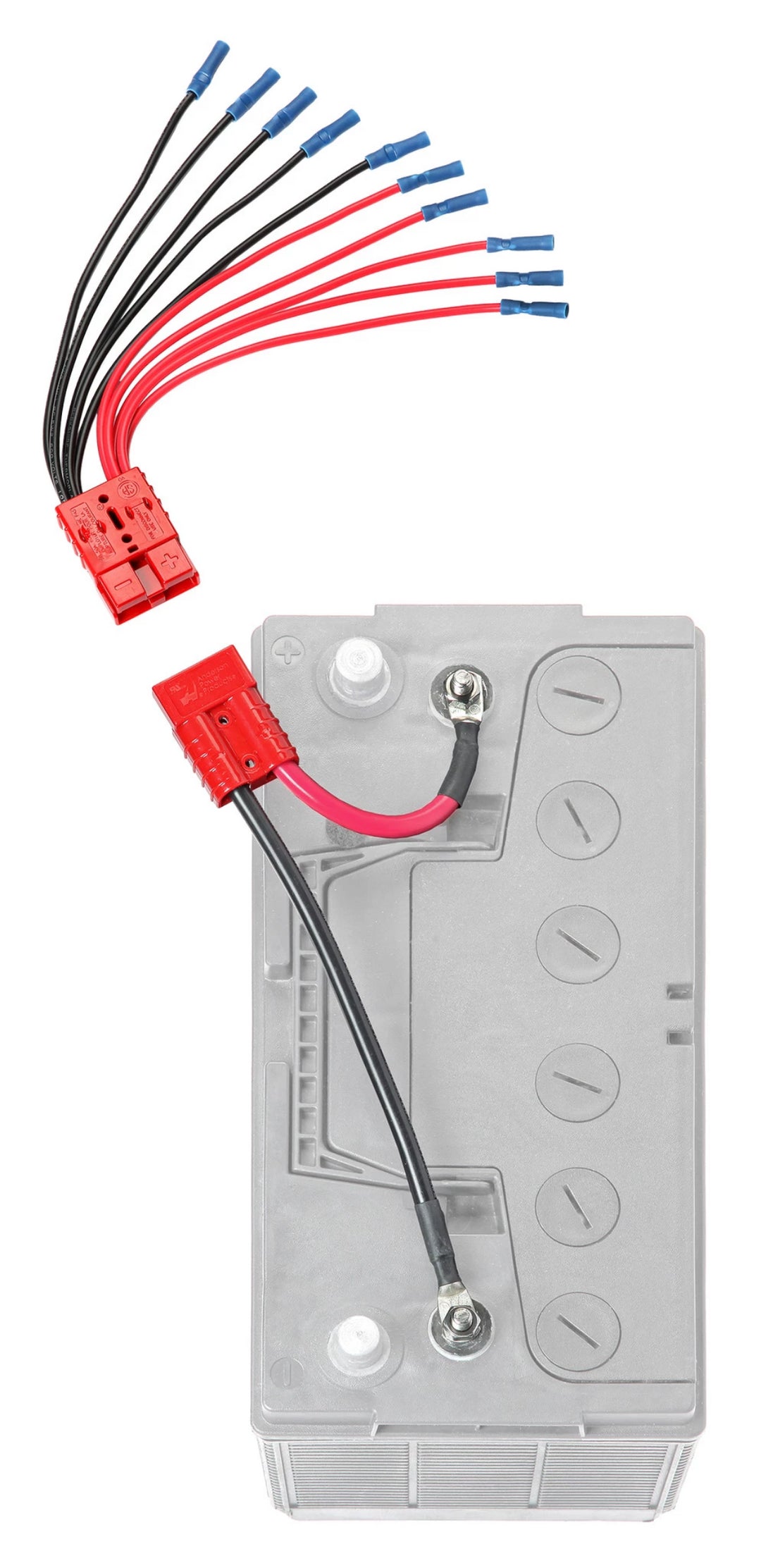 Connect-Ease CE12VB5K Five-Accessory 12V Battery Harness - image 2