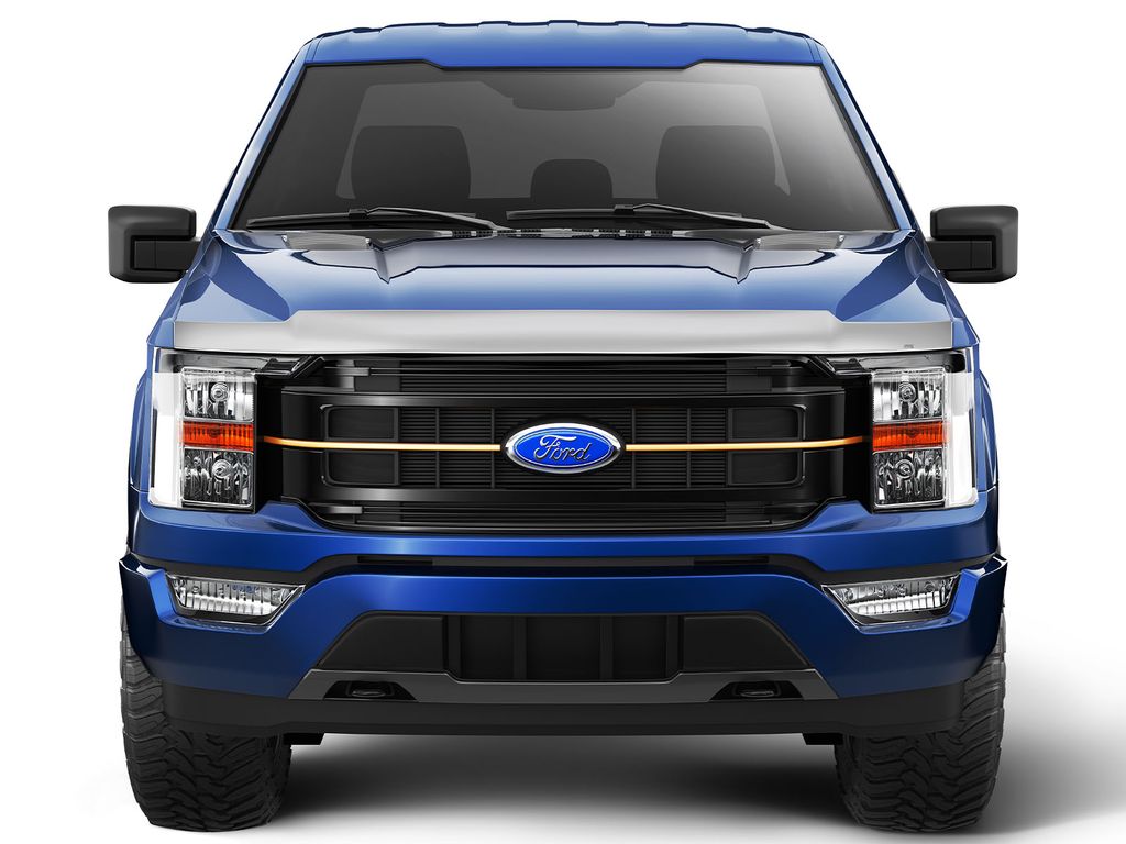 Husky 2892196 Chrome Aeroskin Hood Bug Shield