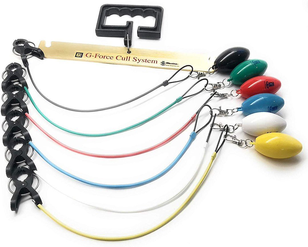 T-H Marine Gfc-Ccsg2-Dp Fish Cull System - image 4