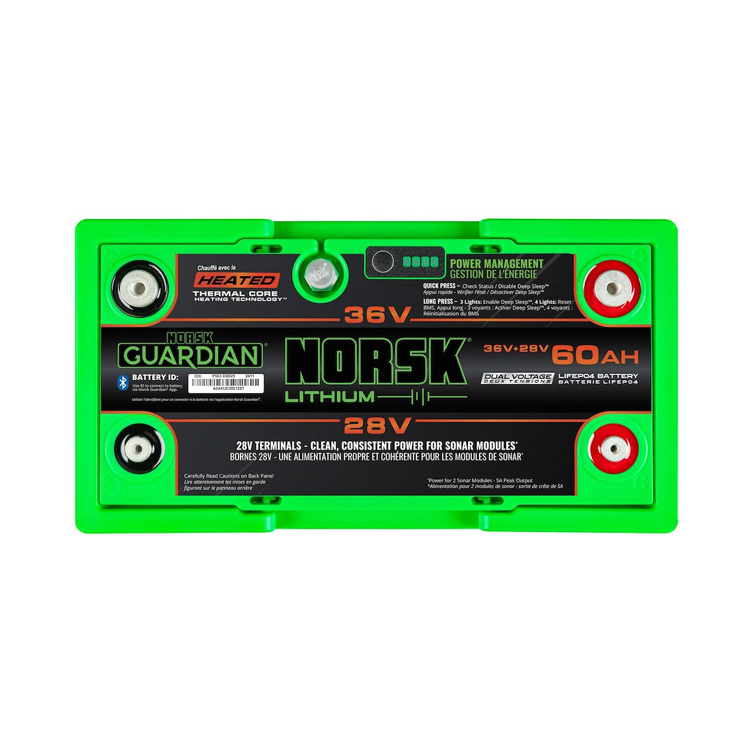 Norsk Bdv3628060gh Battery