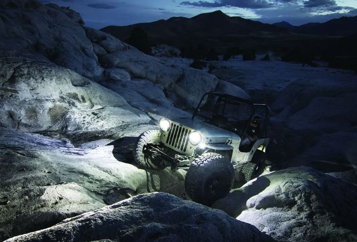 Rigid Lighting 400203 Underbody Light Kit - image 2