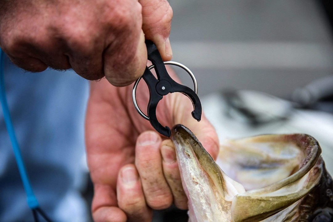 T-H Marine Gfc-Ccsg2-Dp Fish Cull System - image 3