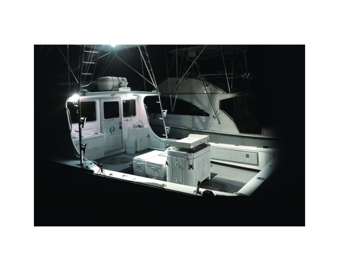 Rigid Lighting 922113 Driving/ Fog Light - image 2
