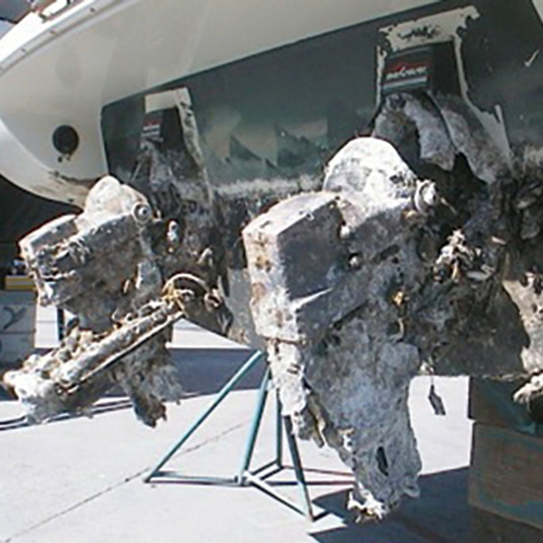 Pro Mariner 22034 Marine Isolation Transformer - image 3