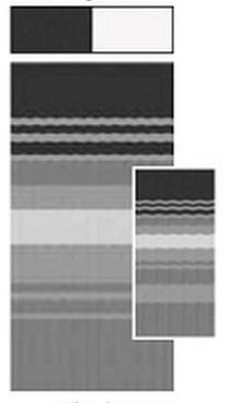 Carefree Rv Ea158d00 Awning - image 2