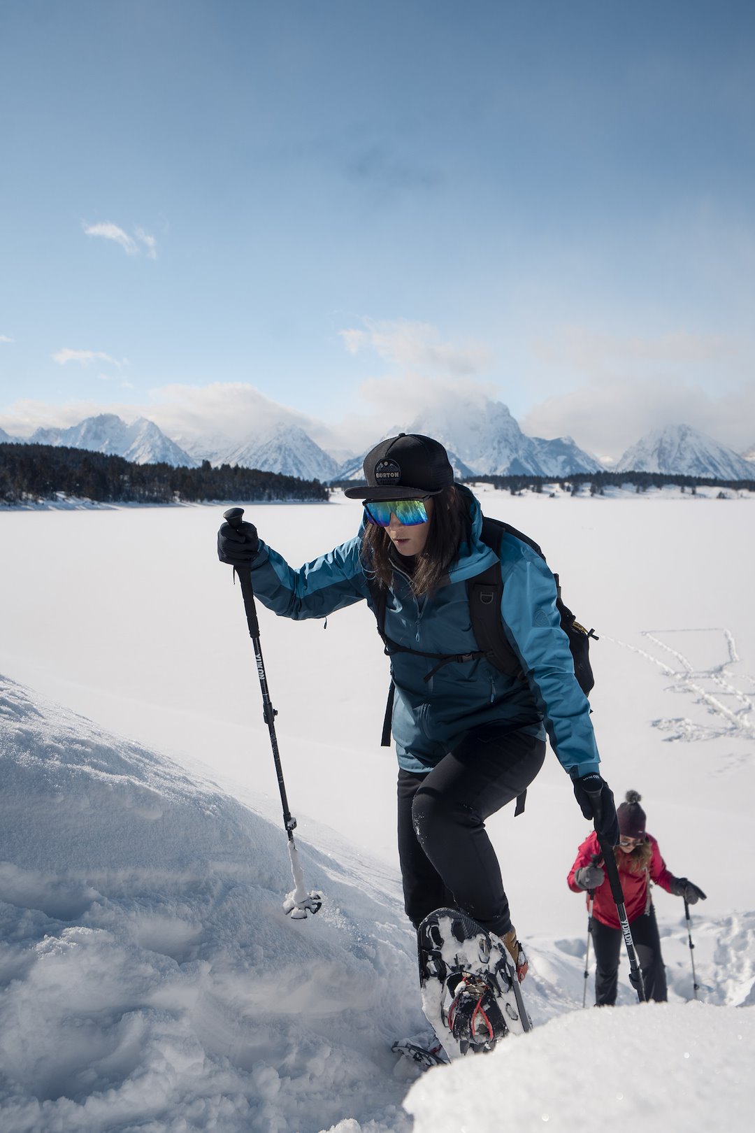 Airhead 83-0149 Walking Poles - image 3