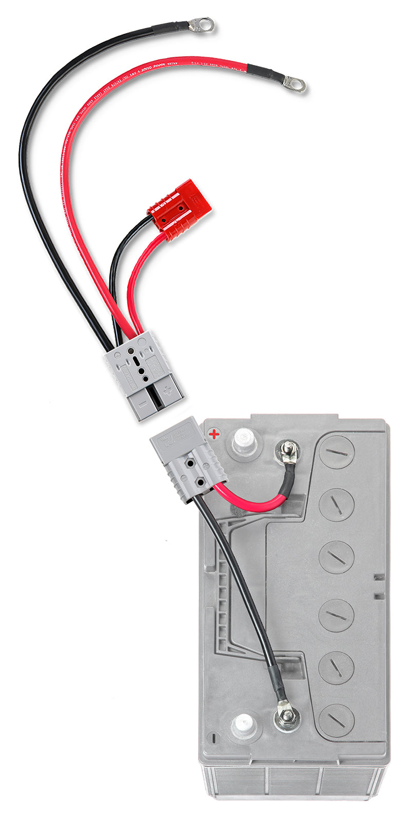 Connect-Ease Rce12vbm6k Battery Connection Harness - image 2