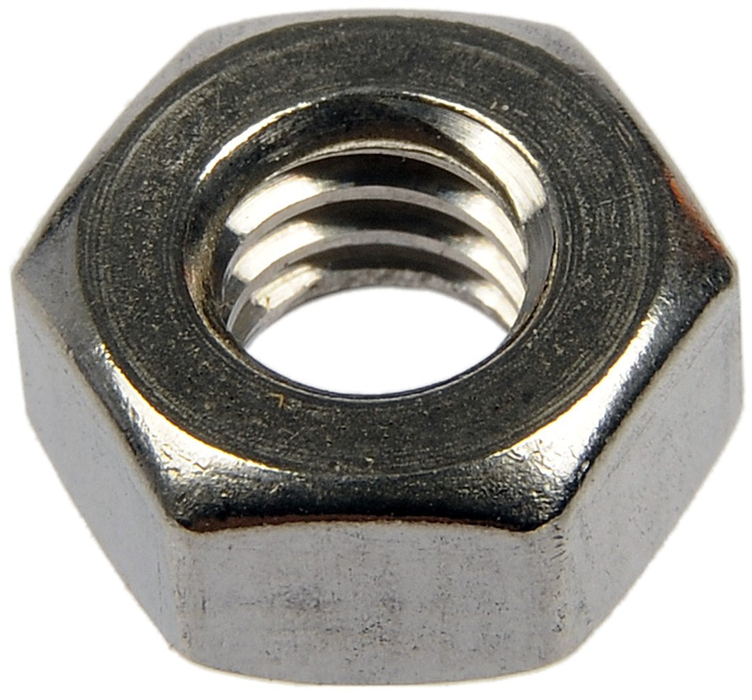 Dorman 784-320 1/4-20 Stainless Hex Nuts, Set of 9 - image 1
