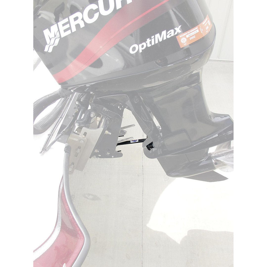 Attwood Marine 10309 Transom Saver - image 3